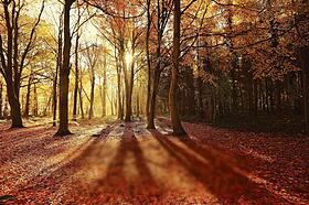 Goldener Oktober an der Börse