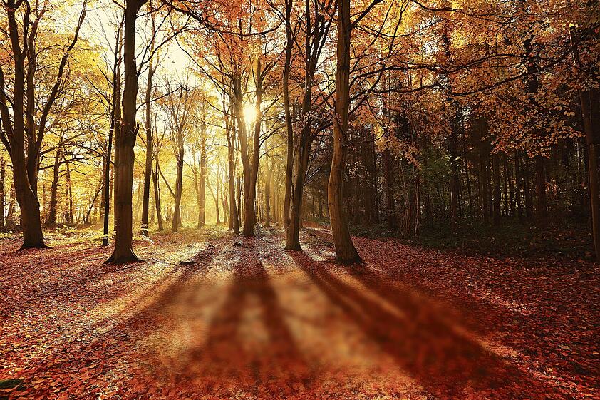 Goldener Oktober an der Börse