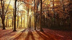 Goldener Oktober an der Börse