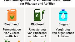 Zweiter Frühling für Biokraftstoffe