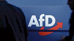 Verfassungsschutz: Mehr Extremisten in der AfD