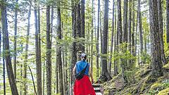 In Wald investieren – bis zu neun Prozent Rendite