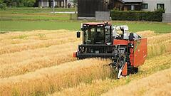 Japan testet die Hightech-Landwirtschaft