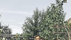 „Ab vom Schuss“ als Wunschadresse