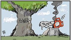 Punkt für Powell