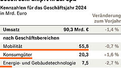 Bosch wächst wieder