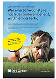 Meinung