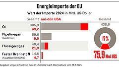 Energie-Versprechen sorgt für Entsetzen