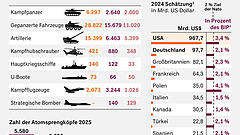Allein gegen Russland?
