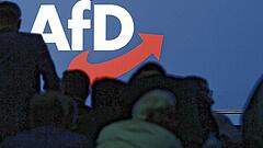 Wird die AfD jetzt verboten?