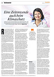 Gastkommentar