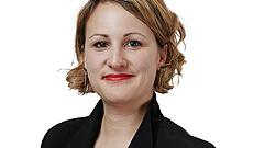 Kann verwittertes Gestein dem Klima helfen?