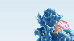Biotech und Pharma
