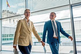 Was hilft jetzt noch gegen die AfD?