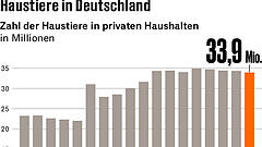 Rex expandiert mit Tierarztpraxen