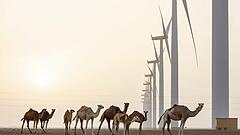 Neuer Anlauf für grünen Strom aus der Wüste