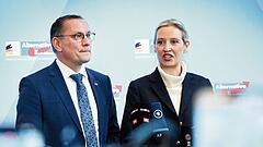 Wird die AfD jetzt verboten?