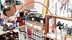 Benkos geheimer Schatzin der Vorratskammer