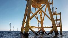Trumps Feldzug gegen die Windkraft