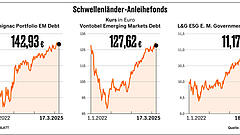 Attraktive Beimischung fürs Depot