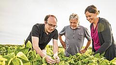 Der Triumph der Tofu-Tümelei