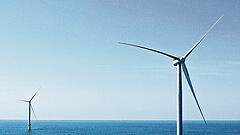Trump erlaubt Windkraftprojekt