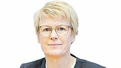 Clevere Berater oder „nützliche Idioten“?