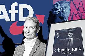MAGA und die AfD im Schulterschluss