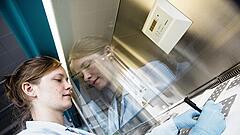 Roche plant in den USA 50-Milliarden-Investition