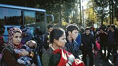 Zuwanderung bringt hohen Nutzen für den Staat