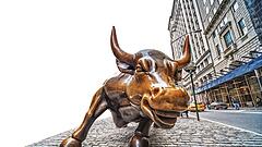 Institutionelle Investoren gehen mehr ins Risiko