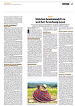 Finanzen