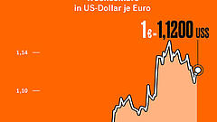 Das Euro-Risiko